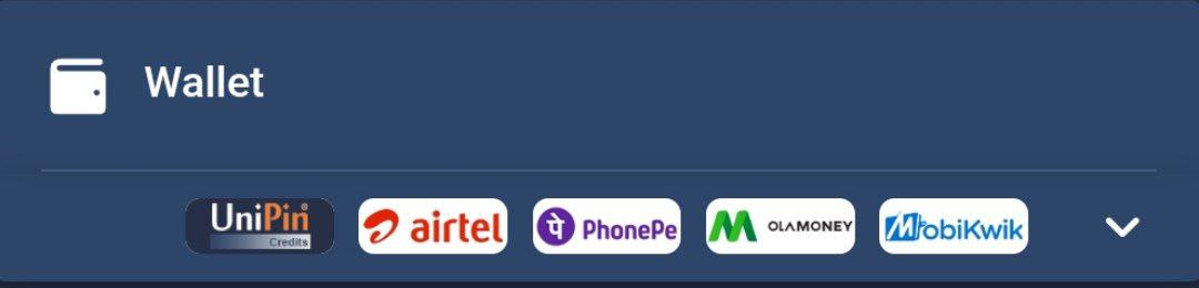 Footer Image